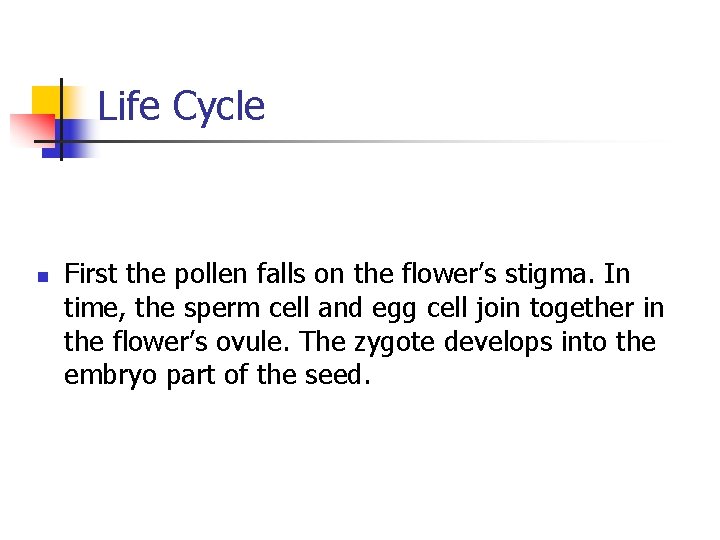 Life Cycle n First the pollen falls on the flower’s stigma. In time, the