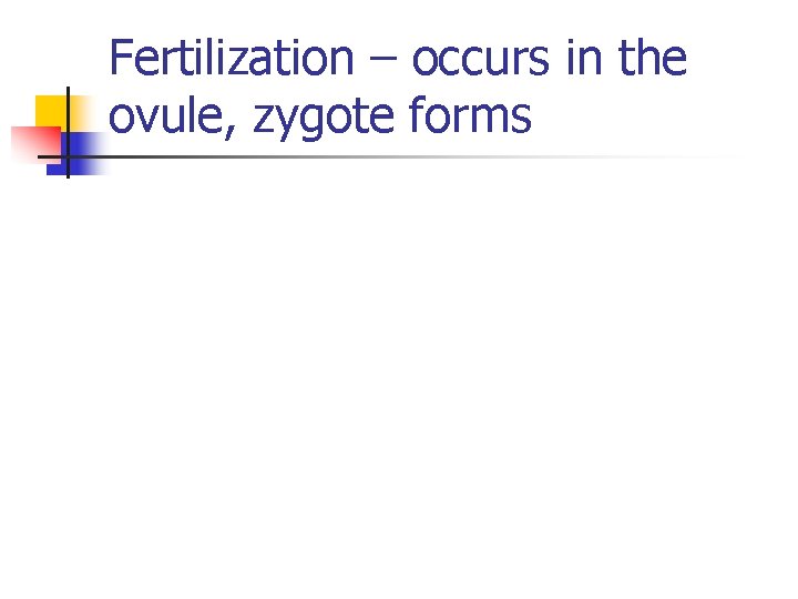 Fertilization – occurs in the ovule, zygote forms 
