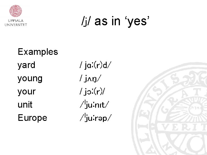 /j/ as in ‘yes’ Examples yard young your unit Europe / jɑː(r)d/ / jʌŋ/