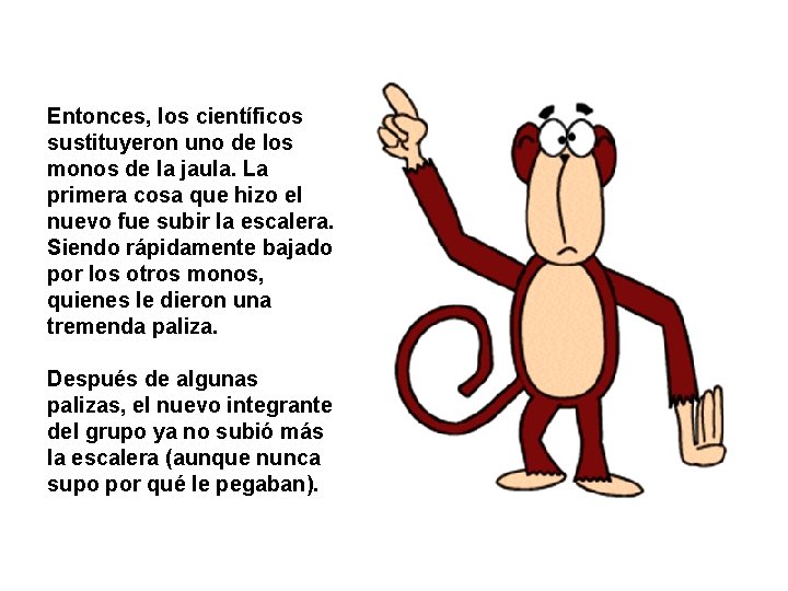 Entonces, los científicos sustituyeron uno de los monos de la jaula. La primera cosa