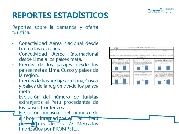 REPORTES ESTADÍSTICOS Reportes sobre la demanda y oferta turística. • • • Conectividad Aérea