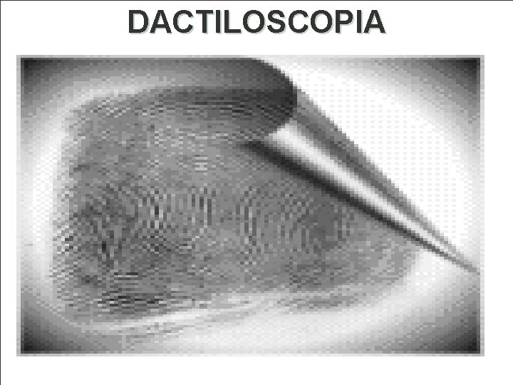 DACTILOSCOPIA 