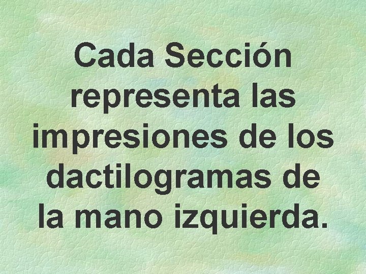 Cada Sección representa las impresiones de los dactilogramas de la mano izquierda. 