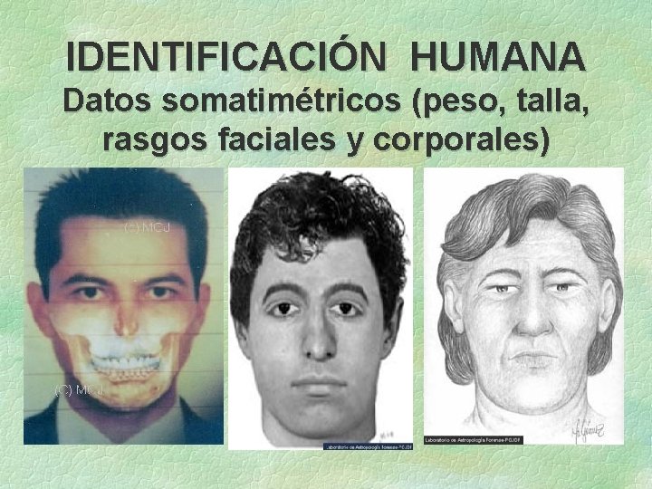 IDENTIFICACIÓN HUMANA Datos somatimétricos (peso, talla, rasgos faciales y corporales) 