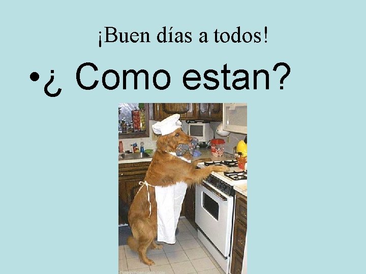 ¡Buen días a todos! • ¿ Como estan? 