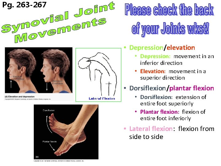 Pg. 263 -267 • Depression/elevation • Depression: movement in an inferior direction • Elevation: