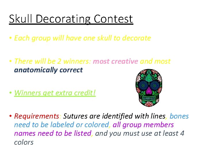 Skull Decorating Contest • Each group will have one skull to decorate • There
