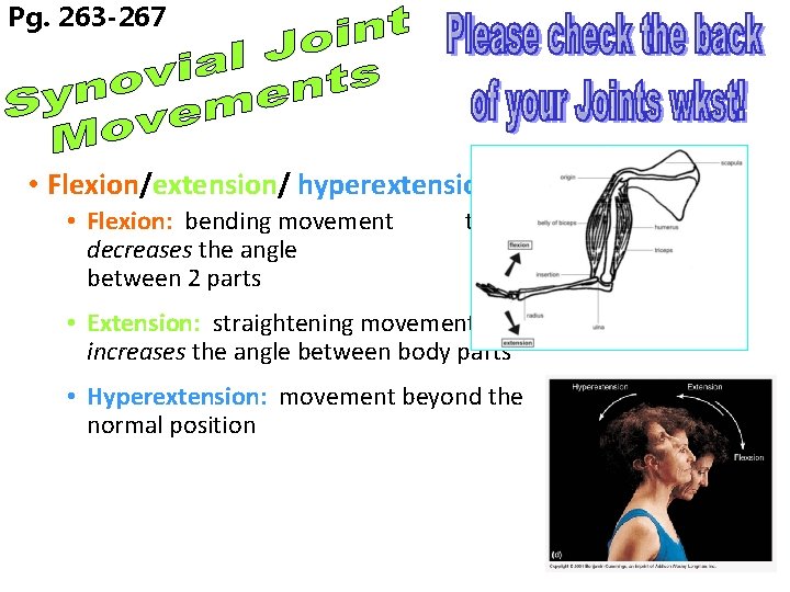 Pg. 263 -267 • Flexion/extension/ hyperextension • Flexion: bending movement decreases the angle between