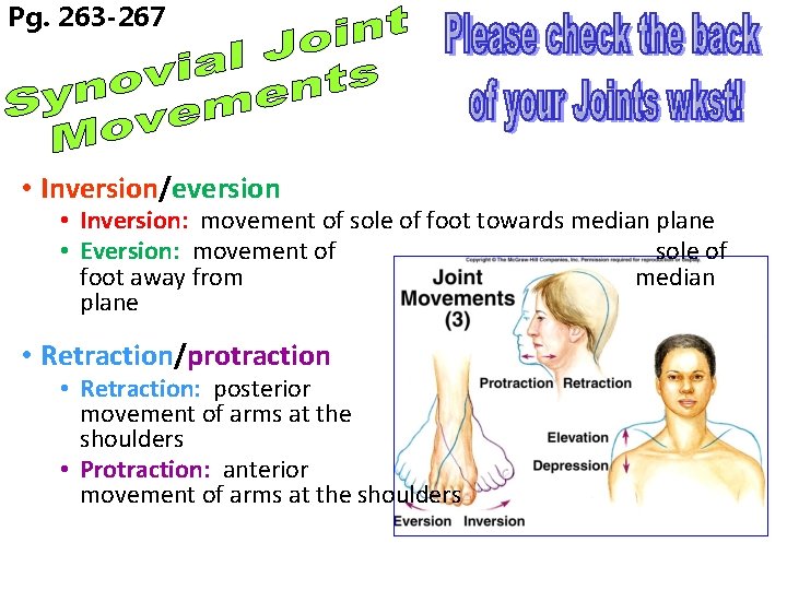 Pg. 263 -267 • Inversion/eversion • Inversion: movement of sole of foot towards median