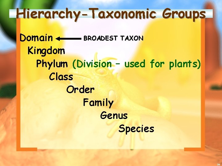 Hierarchy-Taxonomic Groups BROADEST TAXON Domain Kingdom Phylum (Division – used for plants) Class Order