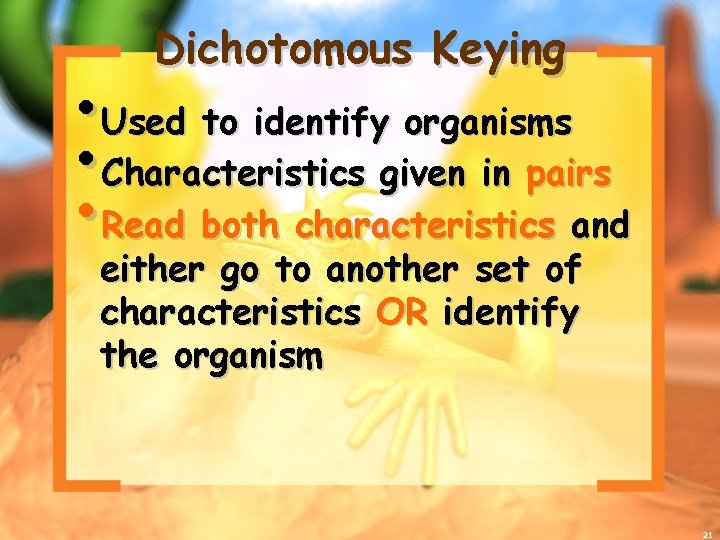 Dichotomous Keying • Used to identify organisms • Characteristics given in pairs • Read