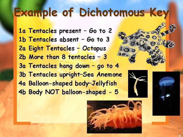 Example of Dichotomous Key 1 a 1 b 2 a 2 b 3 a