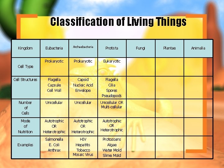 Classification of Living Things Eubacteria Archaebacteria Protista Prokaryotic Eukaryotic Cell Structures Flagella Capsule Cell