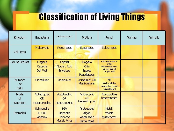 Classification of Living Things Eubacteria Archaebacteria Protista Fungi Prokaryotic Eukaryotic Eukkaryotic Cell Structures Flagella