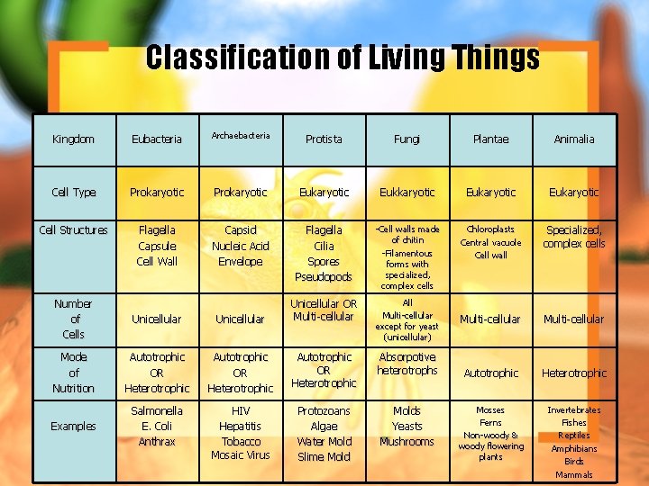Classification of Living Things Kingdom Eubacteria Archaebacteria Protista Fungi Plantae Animalia Cell Type Prokaryotic