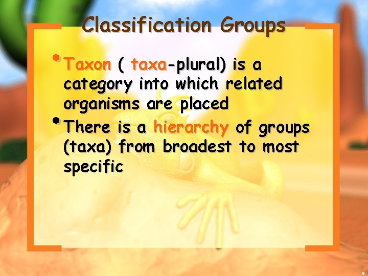 Classification Groups • Taxon ( taxa-plural) is a category into which related organisms are