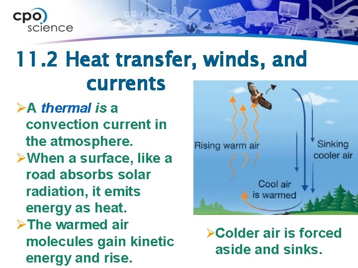 11. 2 Heat transfer, winds, and currents ØA thermal is a convection current in