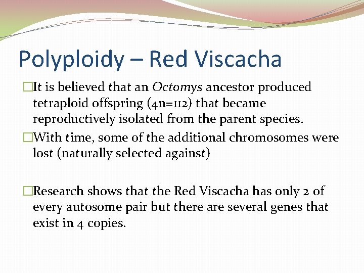 Polyploidy – Red Viscacha �It is believed that an Octomys ancestor produced tetraploid offspring