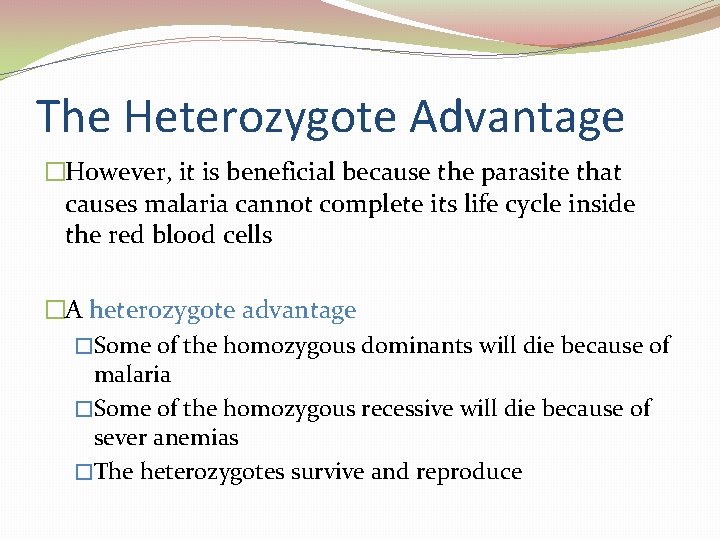 The Heterozygote Advantage �However, it is beneficial because the parasite that causes malaria cannot