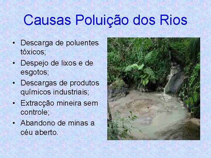 Causas Poluição dos Rios • Descarga de poluentes tóxicos; • Despejo de lixos e