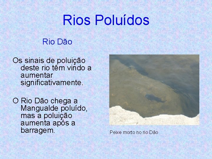 Rios Poluídos Rio Dão Os sinais de poluição deste rio têm vindo a aumentar