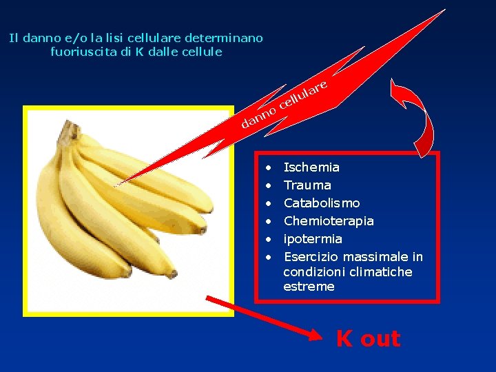 Il danno e/o la lisi cellulare determinano fuoriuscita di K dalle cellule re a