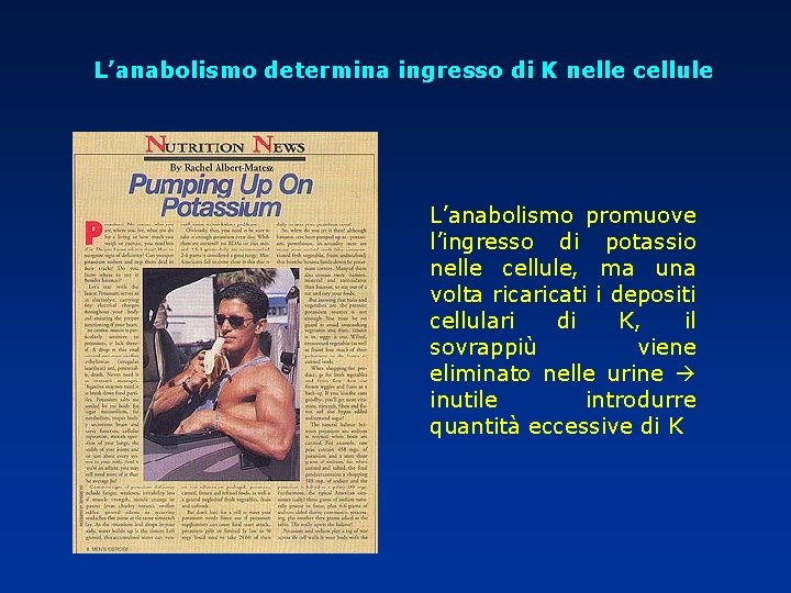 L’anabolismo determina ingresso di K nelle cellule L’anabolismo promuove l’ingresso di potassio nelle cellule,