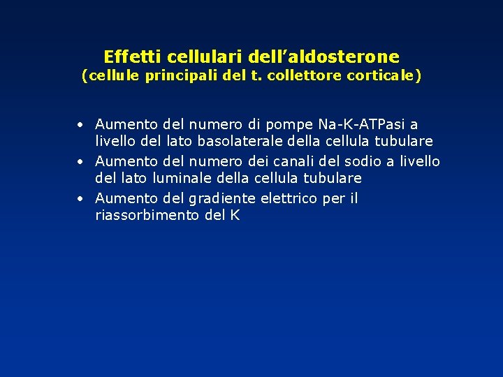Effetti cellulari dell’aldosterone (cellule principali del t. collettore corticale) • Aumento del numero di