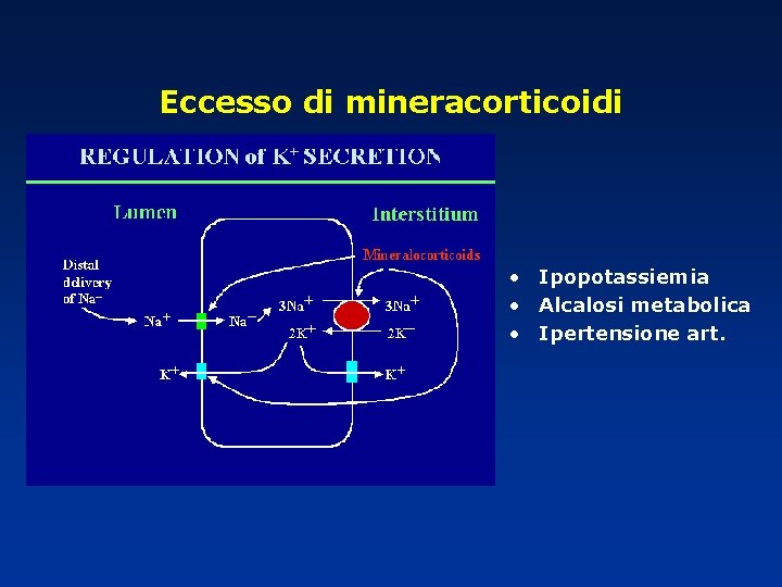 Eccesso di mineracorticoidi • Ipopotassiemia • Alcalosi metabolica • Ipertensione art. 