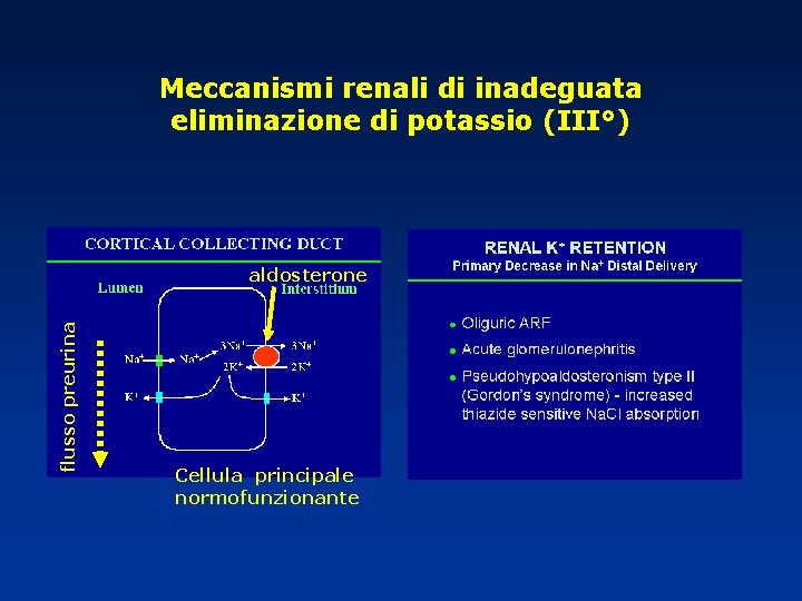 Meccanismi renali di inadeguata eliminazione di potassio (III°) flusso preurina aldosterone Cellula principale normofunzionante