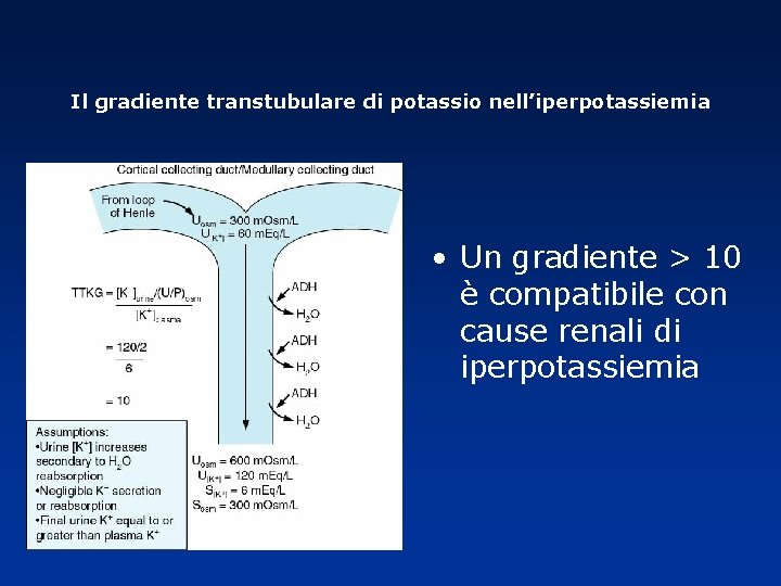 Il gradiente transtubulare di potassio nell’iperpotassiemia • Un gradiente > 10 è compatibile con