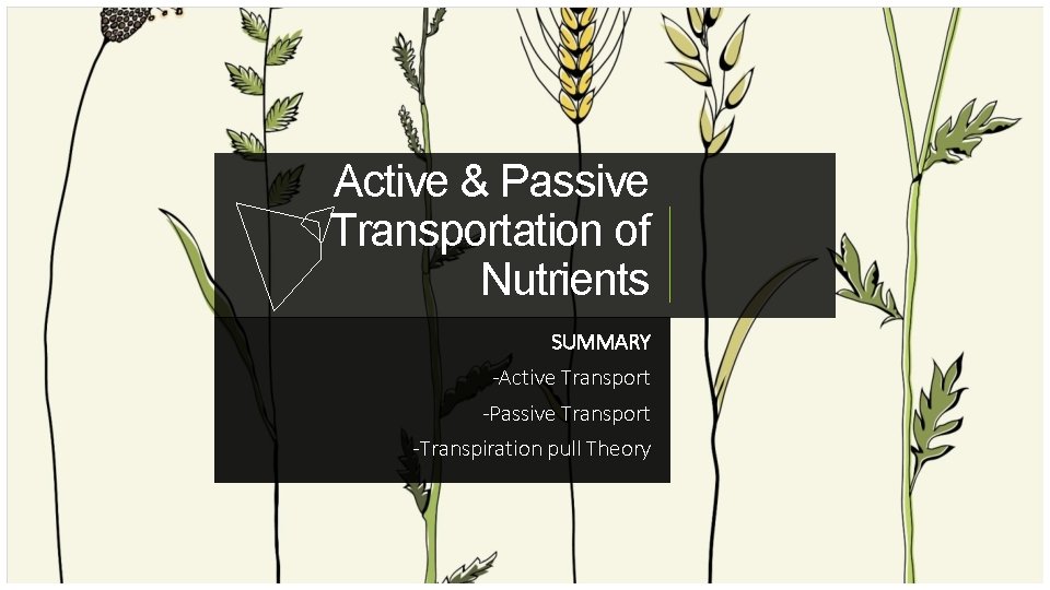 Active & Passive Transportation of Nutrients SUMMARY -Active Transport -Passive Transport -Transpiration pull Theory Active & Passive Transportation of Nutrients SUMMARY -Active Transport -Passive Transport -Transpiration pull Theory