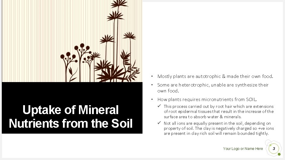 • Mostly plants are autotrophic & made their own food. • Some are • Mostly plants are autotrophic & made their own food. • Some are
