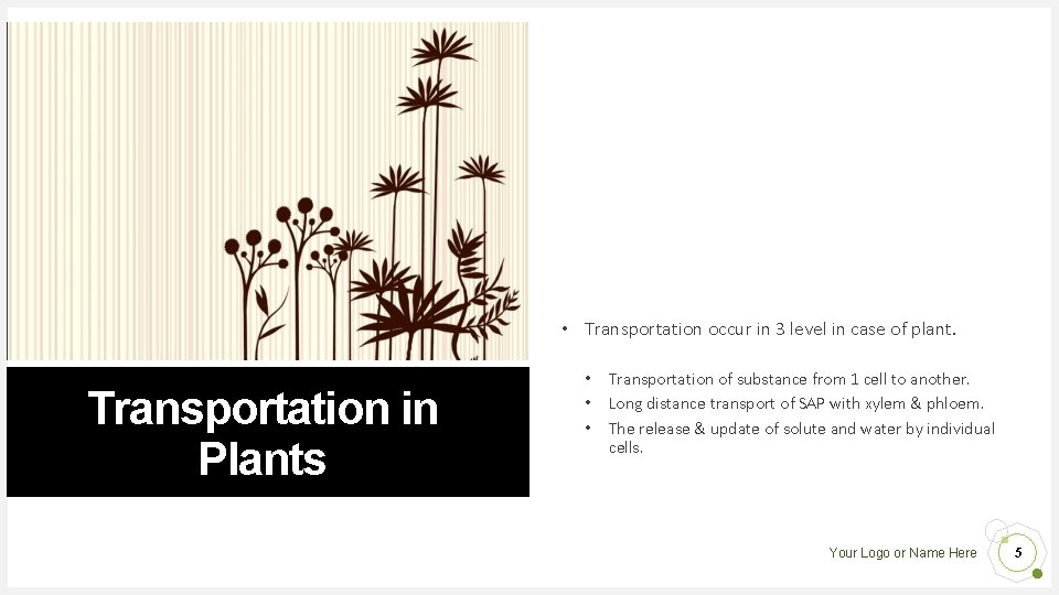 • Transportation occur in 3 level in case of plant. Transportation in Plants • Transportation occur in 3 level in case of plant. Transportation in Plants