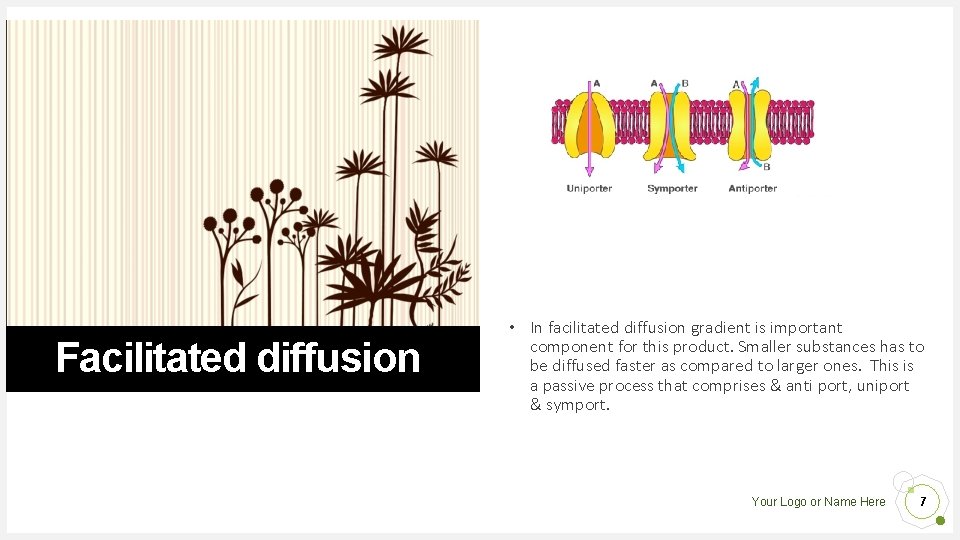 Facilitated diffusion • In facilitated diffusion gradient is important component for this product. Smaller Facilitated diffusion • In facilitated diffusion gradient is important component for this product. Smaller