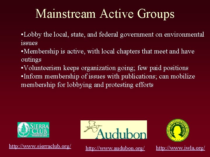 Mainstream Active Groups • Lobby the local, state, and federal government on environmental issues