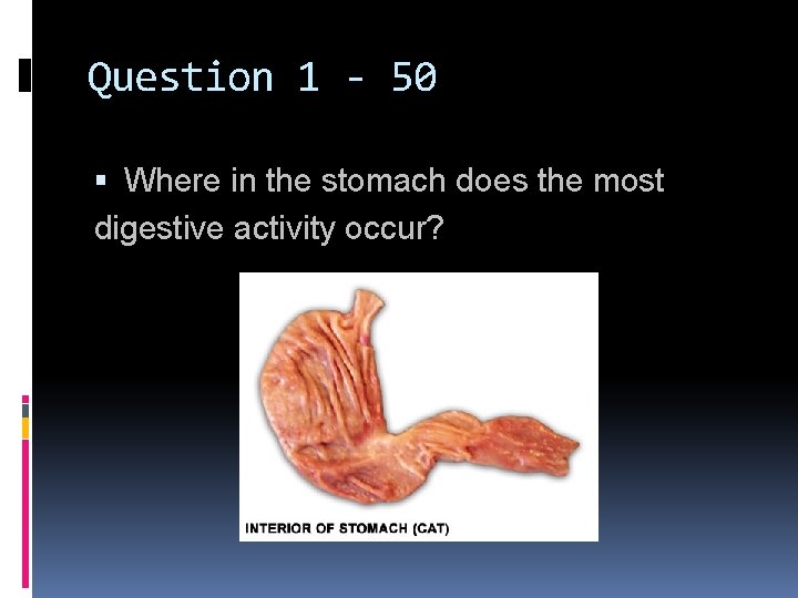 Question 1 - 50 Where in the stomach does the most digestive activity occur?