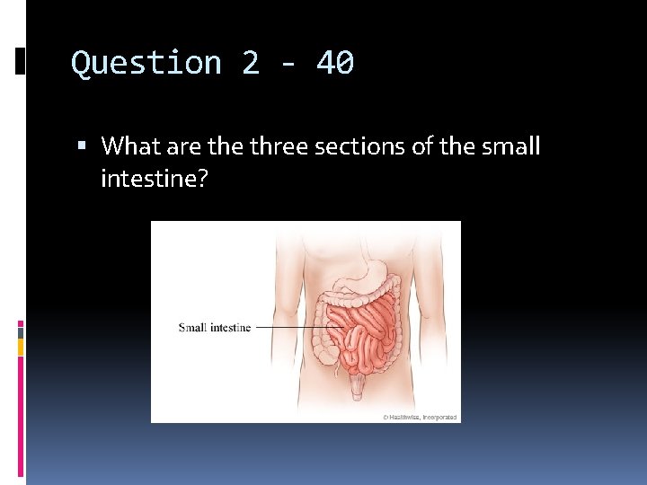 Question 2 - 40 What are three sections of the small intestine? 