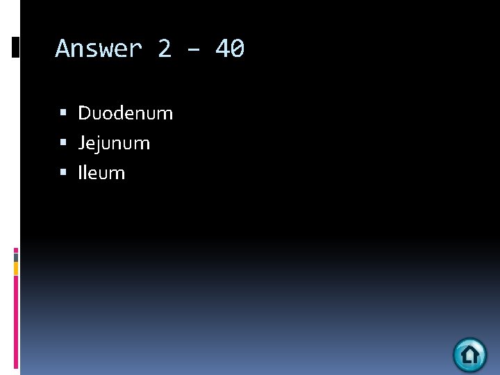 Answer 2 – 40 Duodenum Jejunum Ileum 