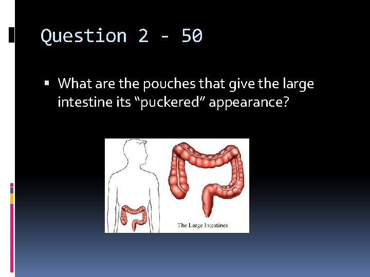 Question 2 - 50 What are the pouches that give the large intestine its