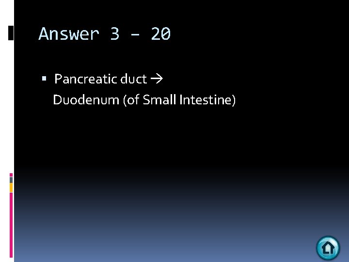 Answer 3 – 20 Pancreatic duct Duodenum (of Small Intestine) 