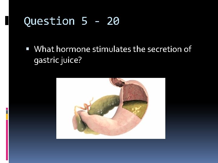 Question 5 - 20 What hormone stimulates the secretion of gastric juice? 