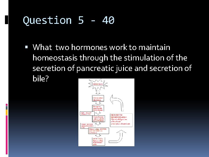 Question 5 - 40 What two hormones work to maintain homeostasis through the stimulation