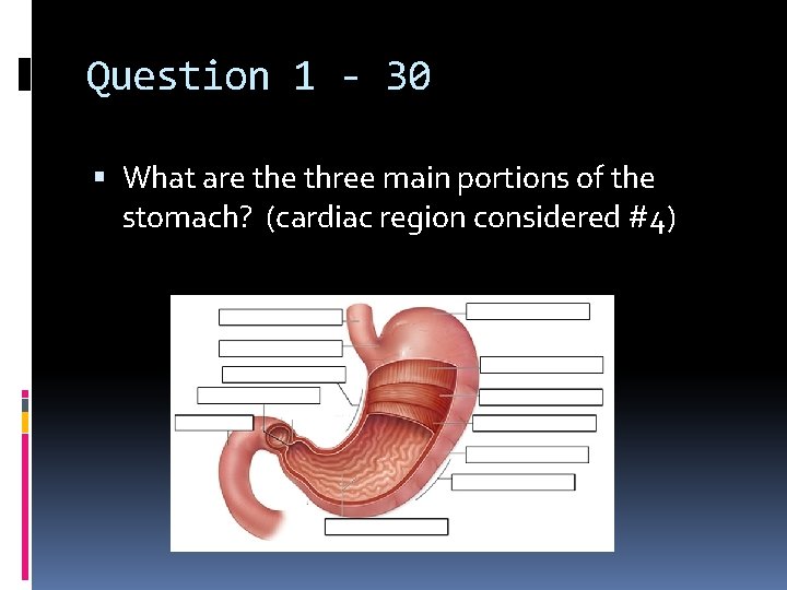 Question 1 - 30 What are three main portions of the stomach? (cardiac region