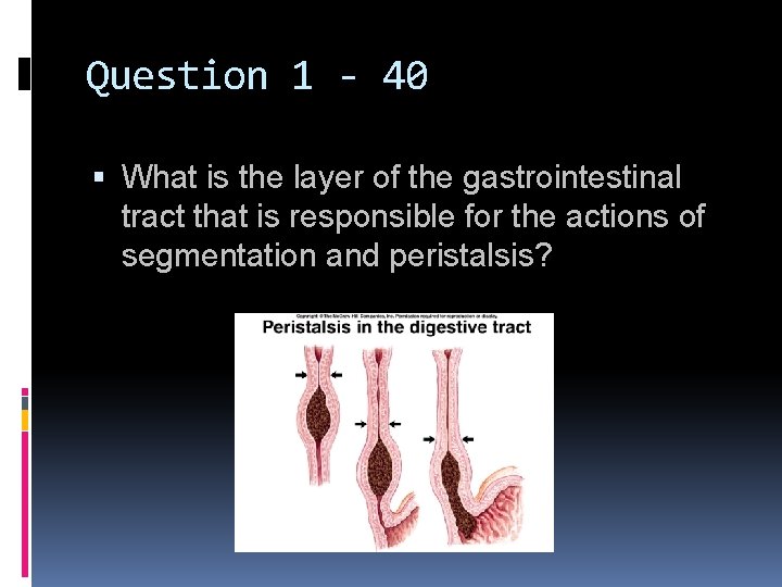 Question 1 - 40 What is the layer of the gastrointestinal tract that is