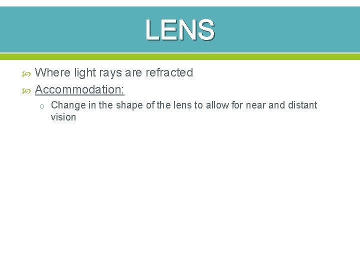 LENS Where light rays are refracted Accommodation: o Change in the shape of the