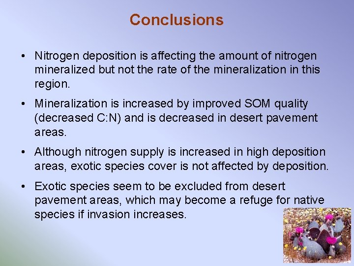 Conclusions • Nitrogen deposition is affecting the amount of nitrogen mineralized but not the