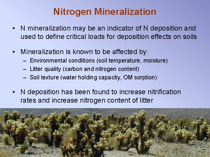 Nitrogen Mineralization • N mineralization may be an indicator of N deposition and used
