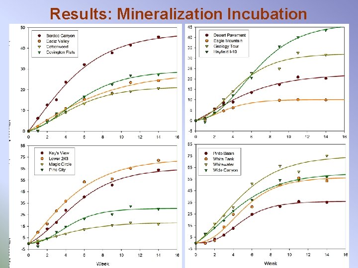 Results: Mineralization Incubation 