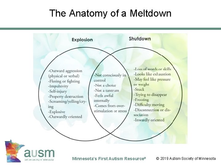The Anatomy of a Meltdown © 2012 Autism Society of Minnesota’s First Autism Resource®